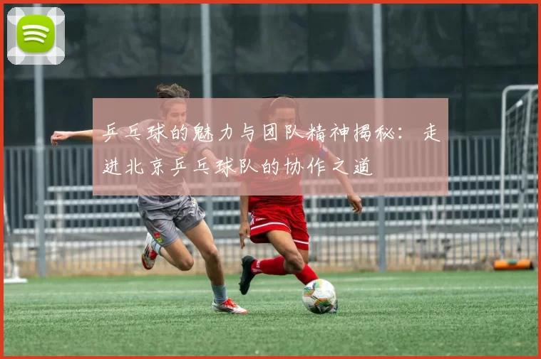 乒乓球的魅力与团队精神揭秘：走进北京乒乓球队的协作之道