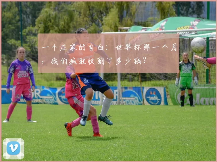 一个庄家的自白：世界杯那一个月，我们疯狂收割了多少钱？