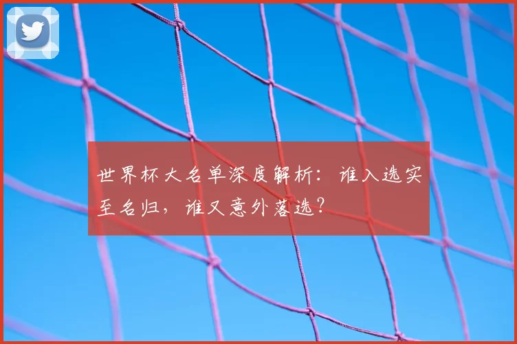世界杯大名单深度解析：谁入选实至名归，谁又意外落选？