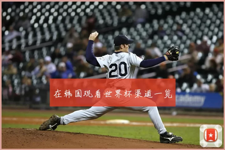 在韩国观看世界杯渠道一览