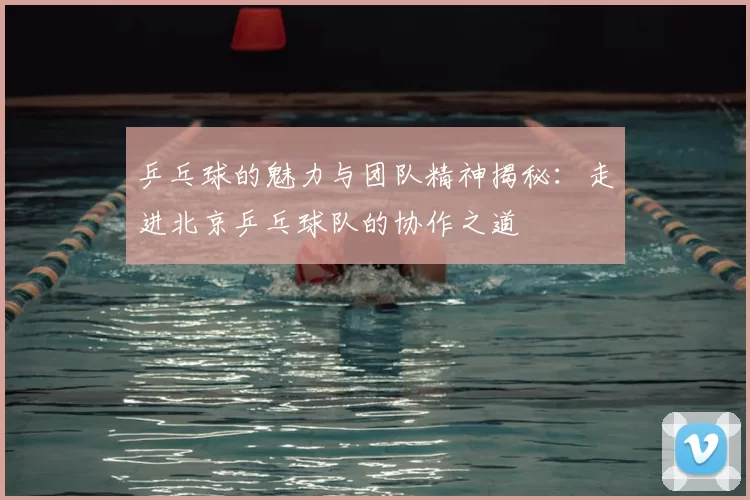 乒乓球的魅力与团队精神揭秘：走进北京乒乓球队的协作之道