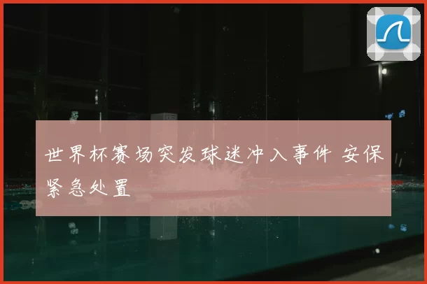 世界杯赛场突发球迷冲入事件 安保紧急处置