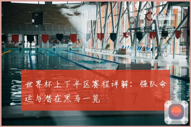 世界杯上下半区赛程详解:强队命运与潜在黑马一览