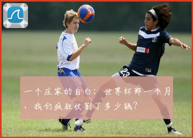 一个庄家的自白:世界杯那一个月,我们疯狂收割了多少钱?