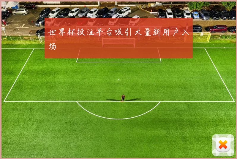 世界杯投注平台吸引大量新用户入场