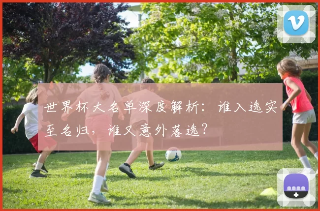 世界杯大名单深度解析:谁入选实至名归,谁又意外落选?