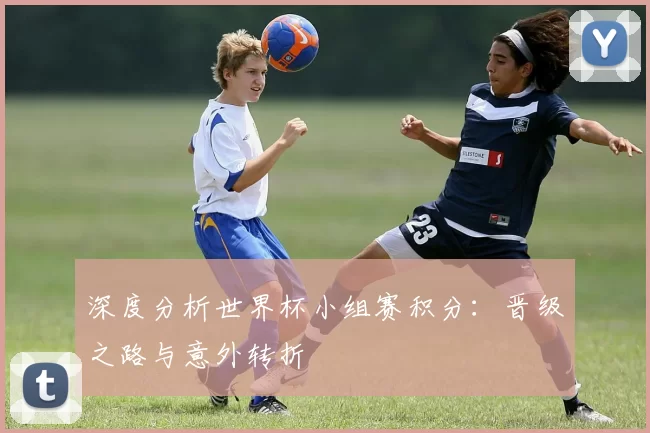 深度分析世界杯小组赛积分：晋级之路与意外转折