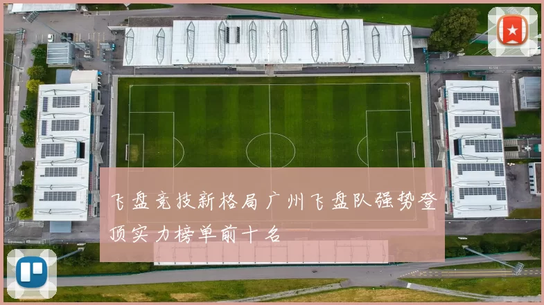 飞盘竞技新格局广州飞盘队强势登顶实力榜单前十名