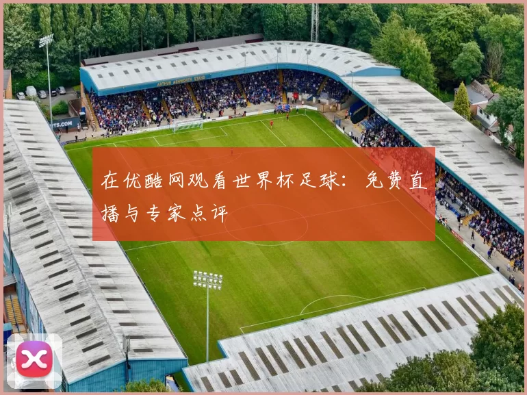 在优酷网观看世界杯足球:免费直播与专家点评