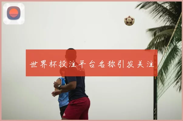 世界杯投注平台名称引发关注