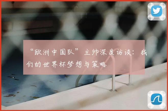 “欧洲中国队”主帅深度访谈：我们的世界杯梦想与策略