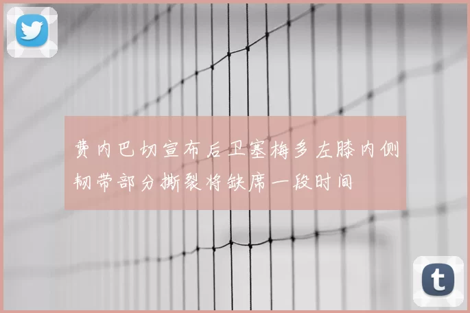 费内巴切宣布后卫塞梅多左膝内侧韧带部分撕裂将缺席一段时间