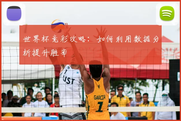 世界杯竞彩攻略：如何利用数据分析提升胜率