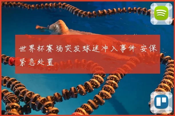 世界杯赛场突发球迷冲入事件 安保紧急处置